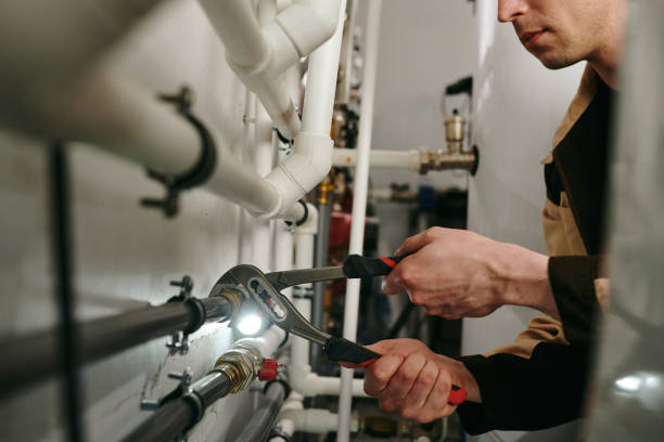 Best Plumbing Inspection Services  in Carl Junction, MO